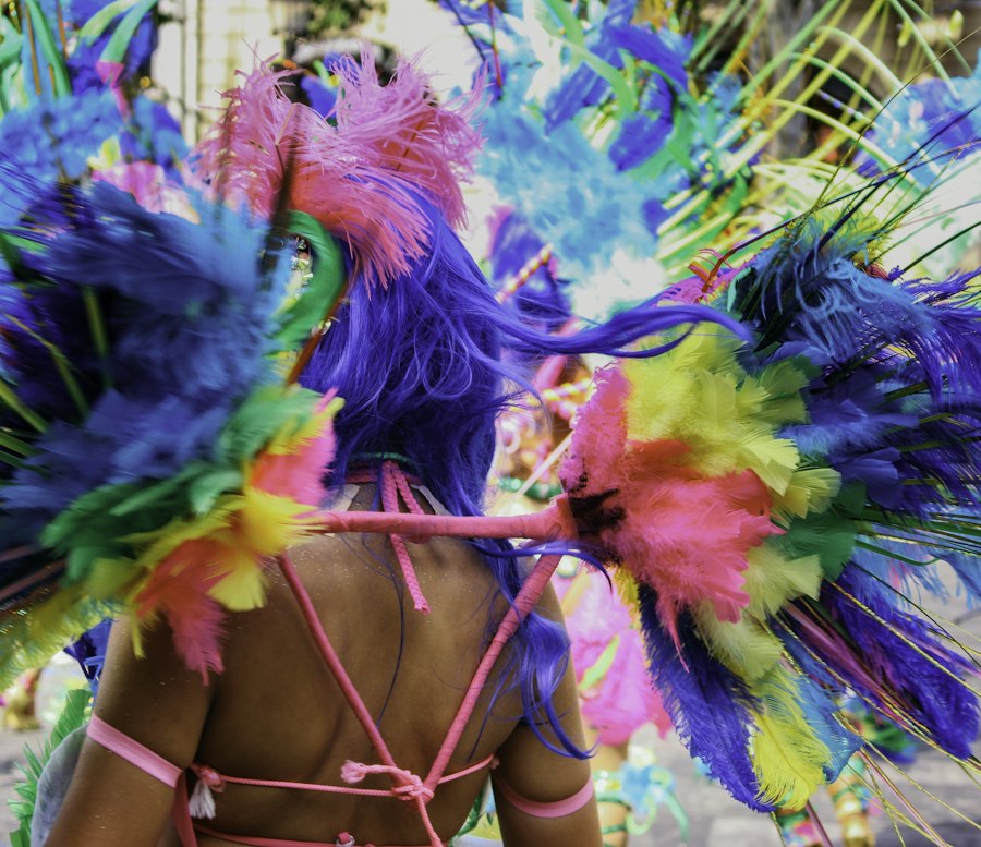 Fantasia de plumas coloridas em desfile